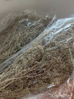 Sola Wood Gold Glitter Babys Breath Two Big Bundles